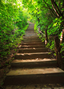 first-step-to-success