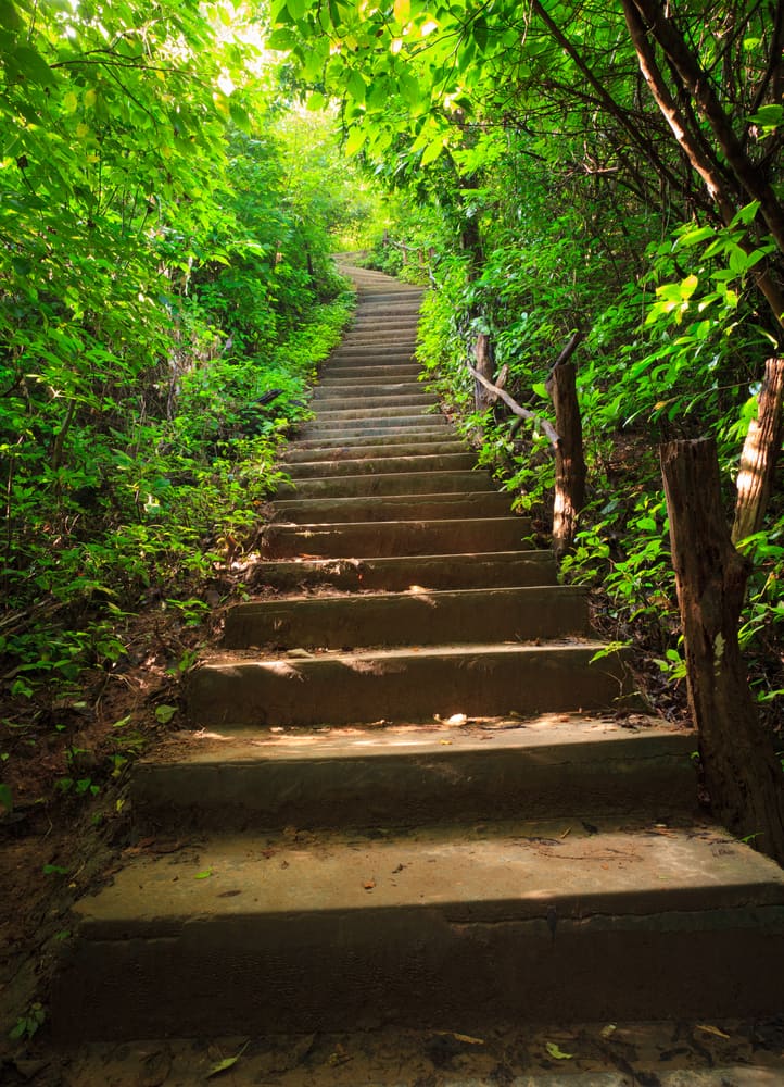 first-step-to-success