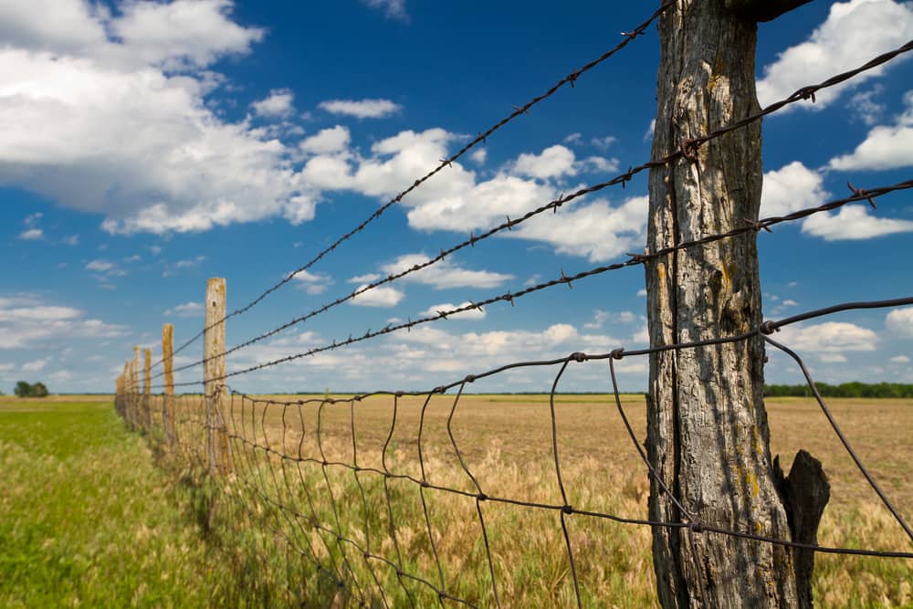 Barbed wire fence showing how acting with expediency requires that you do a lot of fence mending.