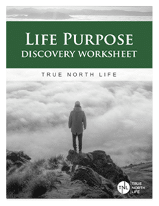 Life Purpose Discovery Worksheet